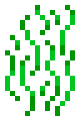 Eel grass.png
