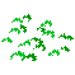 Moted forest.png