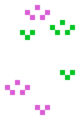 Flowers (colors MG ).png
