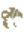 Knollworm skull.png