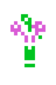 Bouquet of flowers (colors GM ) variation 2.png