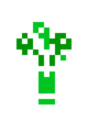 Bouquet of flowers (colors Gg ) variation 2.png